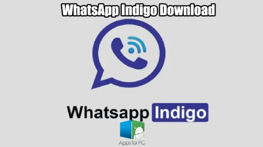 WhatsApp Indigo