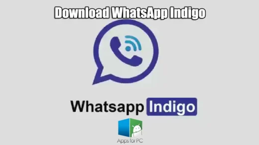 WhatsApp Indigo